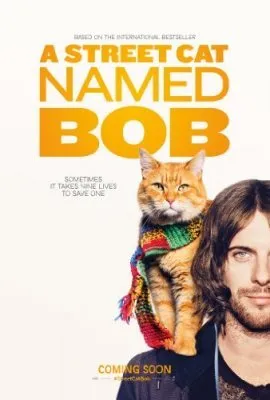 Benamis katinas vardu Bobas